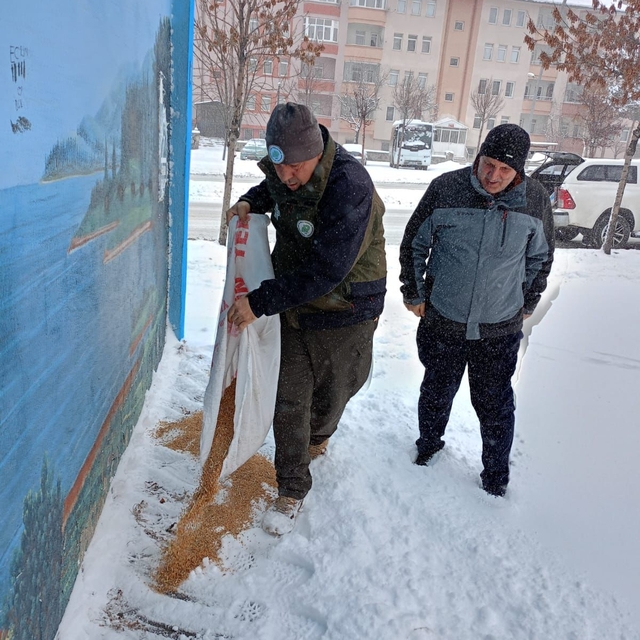 Karla kaplanan Erzurum'da kuşlar için doğaya yem bırakıldı