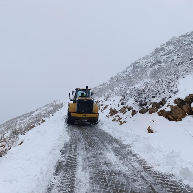 Diyarbakır'da kar yağışı (2)