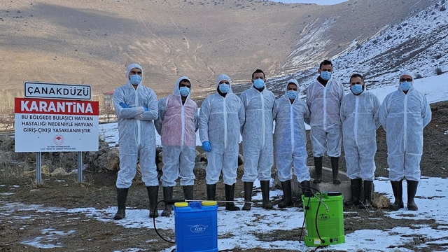 Bitlis'te bir köyde şap karantinası başlatıldı