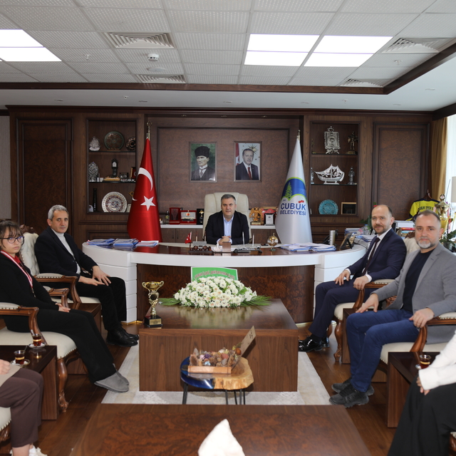 Çubuklu lise öğrencileri, Konya'da derece elde etti