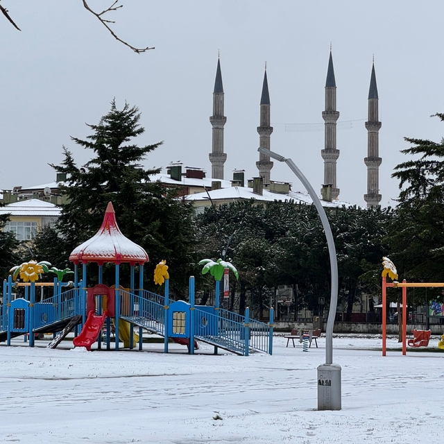 Ordu'da eğitime 'kar' arası