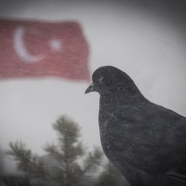 Doğu'da 2 bin 666 kapalı köy yolunun 524'ü açıldı