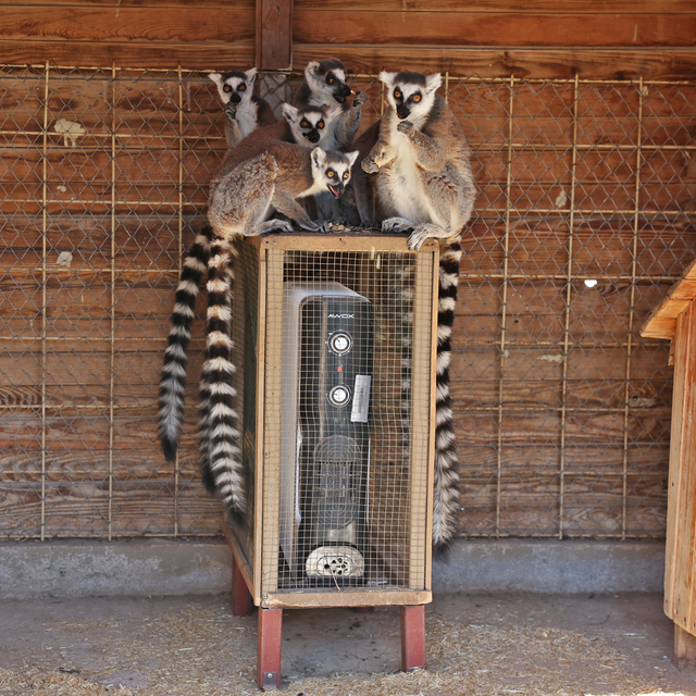 Antalya Doğal Yaşam Parkı'ndaki tropik hayvanların yuvalarına ısıtıcı yerle...