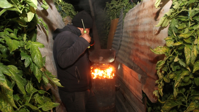 Mersin'de çiftçiler zirai dona karşı seralarda soba yaktı