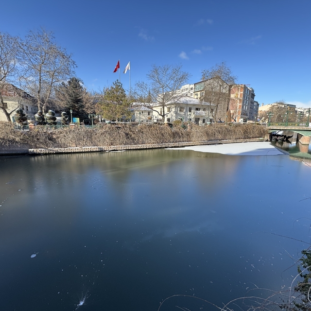 Eskişehir'de kar yağışı ve soğuk hava etkili oldu