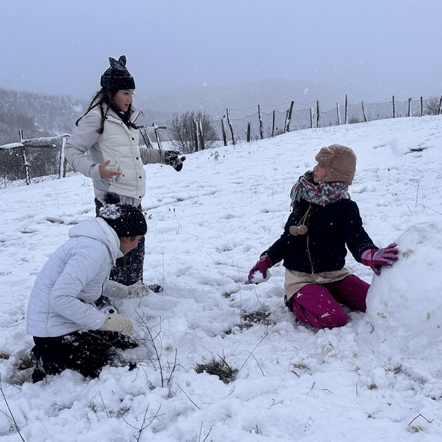 Yalova'da kar etkili oldu