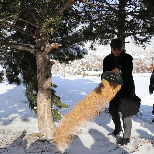 Amasya'da yaban hayvanları için doğaya yem bırakıldı