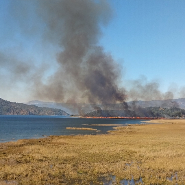 Köyceğiz Gölü'nün sazlık alanında yangın başladı