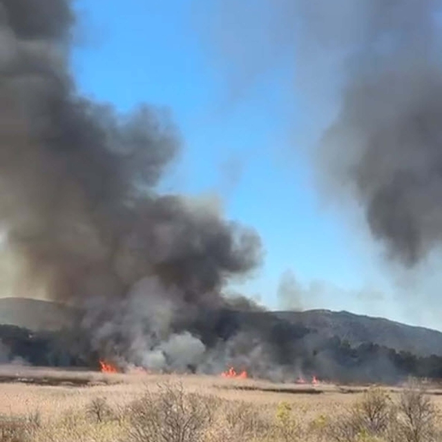 Köyceğiz Gölü'ndeki sazlık alanda yangın
