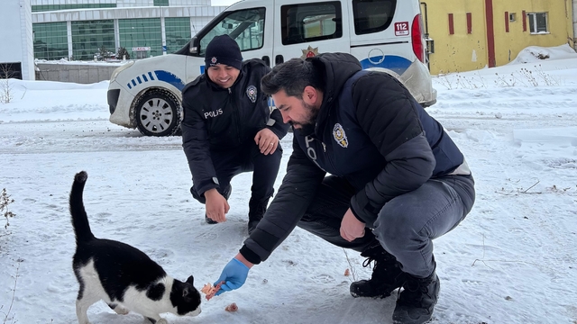 Erzincan'da polisler, sahipsiz hayvanlar için belirli noktalara yiyecek bıraktı