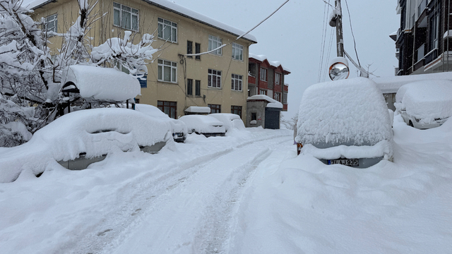 Bartın, Bolu, Düzce ve Zonguldak'ta kar yağışı