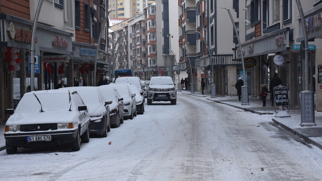 Gümüşhane'de kar yağışı etkili oluyor