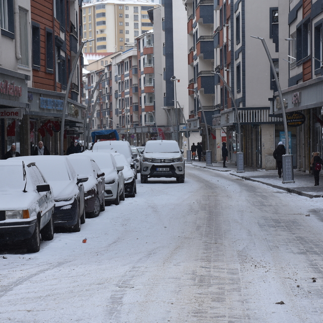 Gümüşhane'de kar yağışı etkili oluyor