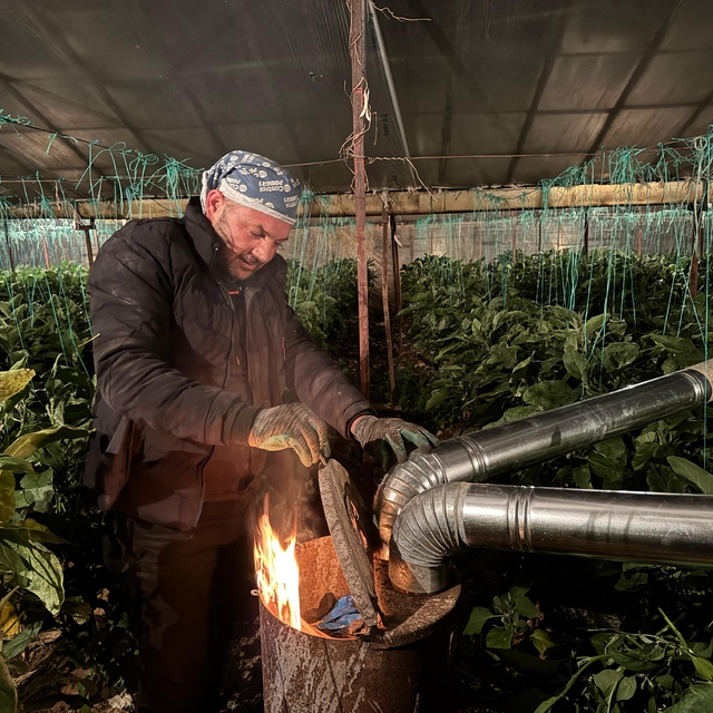 Antalya'da üreticiler zirai don nöbeti tutuyor