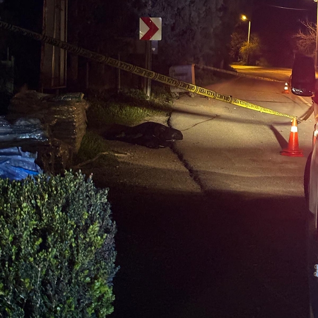 6 aylıkken annesini kaybedip, 9 yaşındayken kazada engelli kalan Hasan, 36...