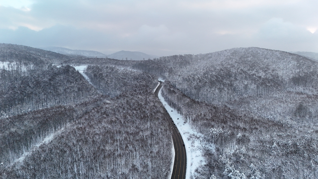 Kırklareli'nde karla kaplanan Istranca Ormanları'nda oluşan manzara havadan görüntülendi