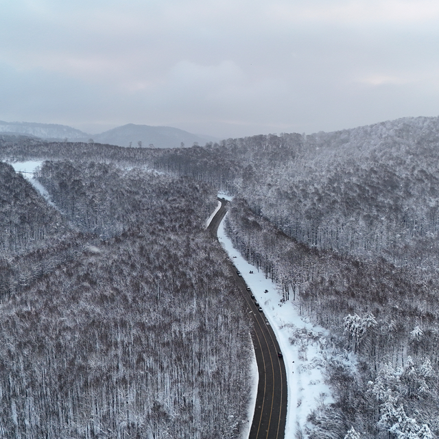 Kırklareli'nde karla kaplanan Istranca Ormanları'nda oluşan manzara havadan...