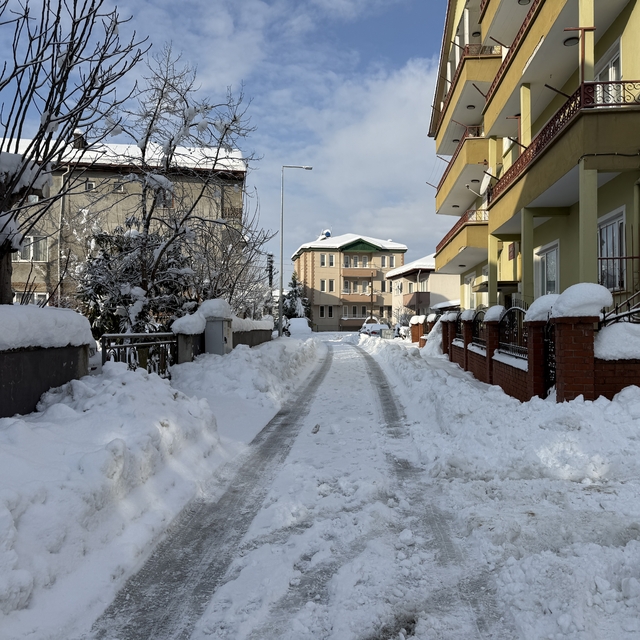 Bartın'da ekipler, 99 köy ve mahalle yolunun açılması için çalışma başlattı