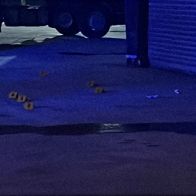 Trafikte tartıştığı damadını tabancayla vurdu