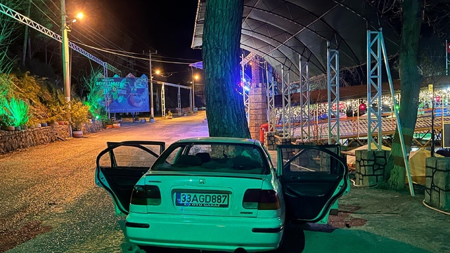 Alanya'da ağaca çarpan otomobildeki 1 kişi öldü, 3 kişi yaralandı