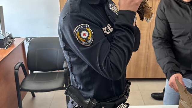 Samsun'da yaralı bulunan çulluk tedaviye alındı