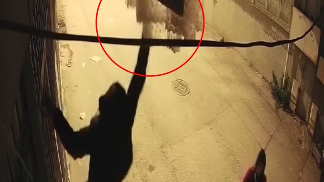 Bursa'da perde ve battaniye hırsızlığı kamerada