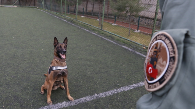 Sahibinin yurt dışına çıkarken verdiği  'Risko' narkotik köpeği oldu, operasyonlarda tonlarca uyuşturucu ele geçirildi