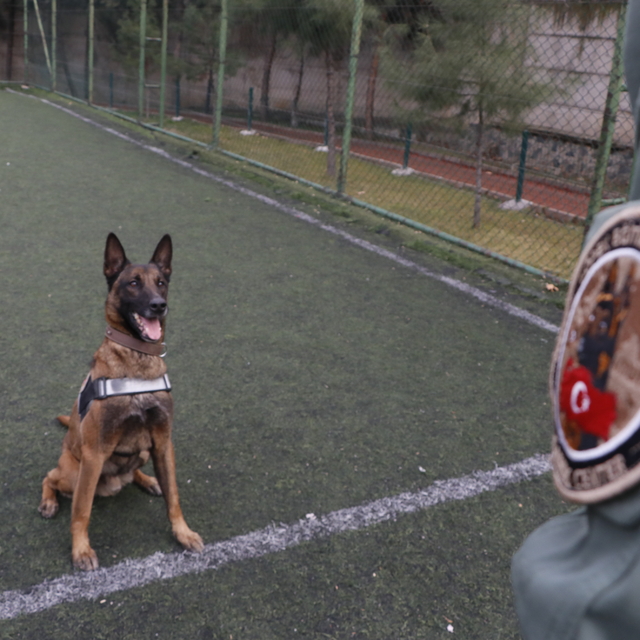 Sahibinin yurt dışına çıkarken verdiği  'Risko' narkotik köpeği oldu, opera...