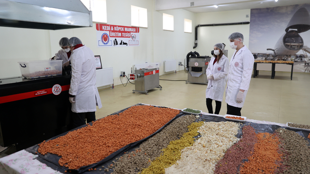 Yemek artıklarından patili dostlar için mama üreten lise öğrencileri taleplere yetişemiyor