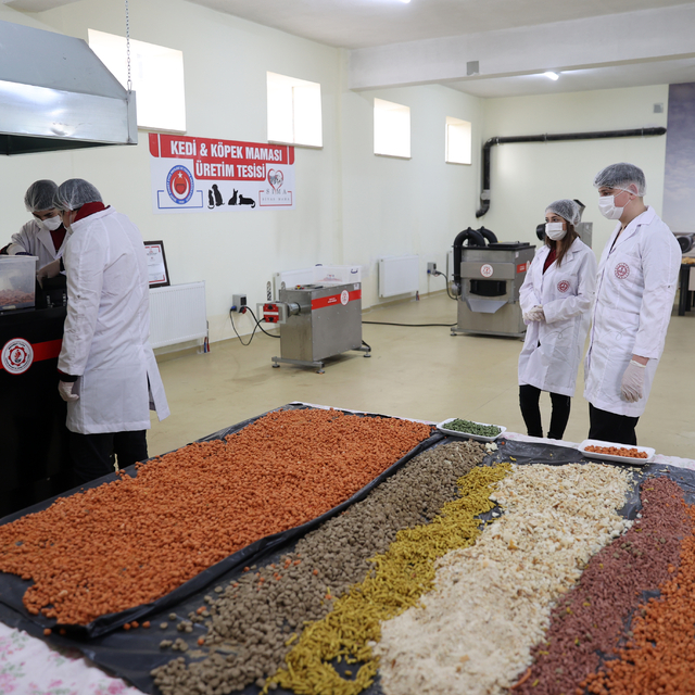 Yemek artıklarından patili dostlar için mama üreten lise öğrencileri talepl...