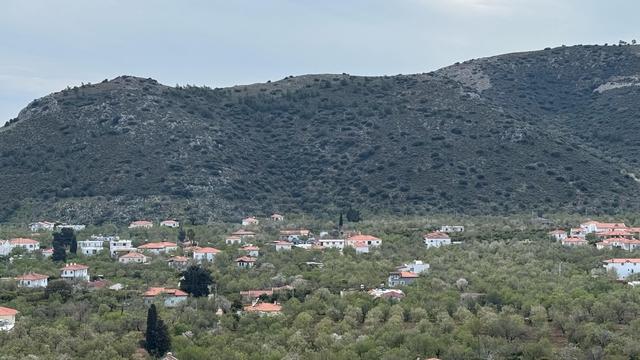 Galeri