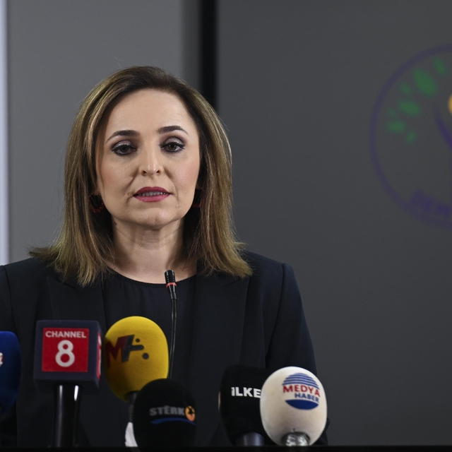 DEM Parti Sözcüsü Doğan, basın toplantısı düzenledi: