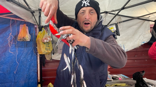 Hamsinin kilosu 150 liraya düştü