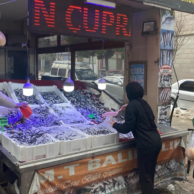 Türkeli'de balık fiyatlarında artış yaşandı