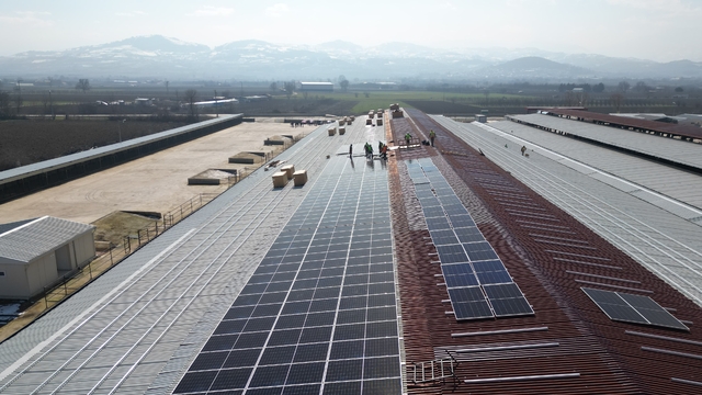 İnegöl Hayvan Pazarı'nın enerjisi güneşten sağlanacak