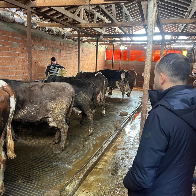 Zonguldak'ta şap hastalığı şüphesiyle bir köyde karantina başlatıldı