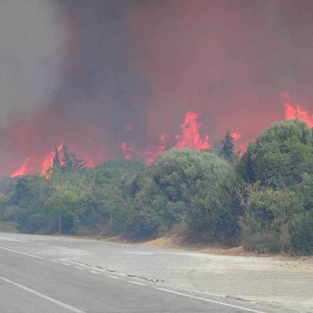 Gelibolu Yarımadası'nda çıkan yangının ekosisteme verdiği zarar araştırılac...