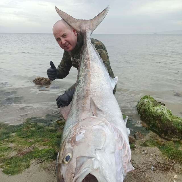 Zıpkınla 1,8 metrelik akya balığı avladı