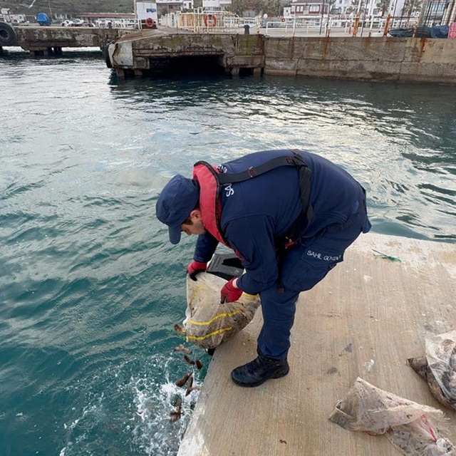 Çanakkale'de 19 çuval deniz patlıcanı ele geçirildi