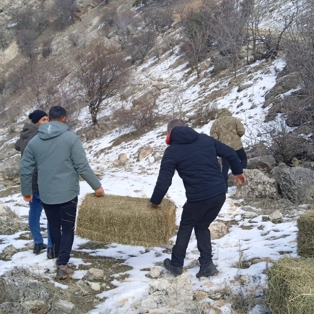 Tunceli'de üniversite öğrencileri yaban hayvanları için doğaya yem bıraktı