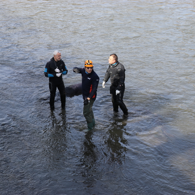 Amasya'da Yeşilırmak'ta erkek cesedi bulundu