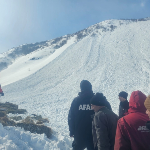 Ardahan'da ev ve ahırın üzerine çığ düştü