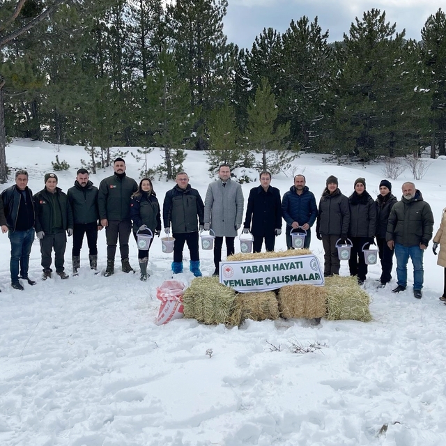 Tosya'da yaban hayatı için doğaya yem bırakıldı