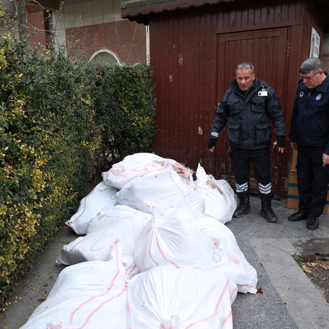 Antalya'da çuvallarda taşınan yaklaşık 1,5 ton büyükbaş hayvan karaciğerine...
