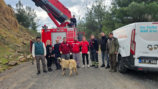 Çanakkale'de dağlık alanda mahsur kalan köpek kurtarıldı
