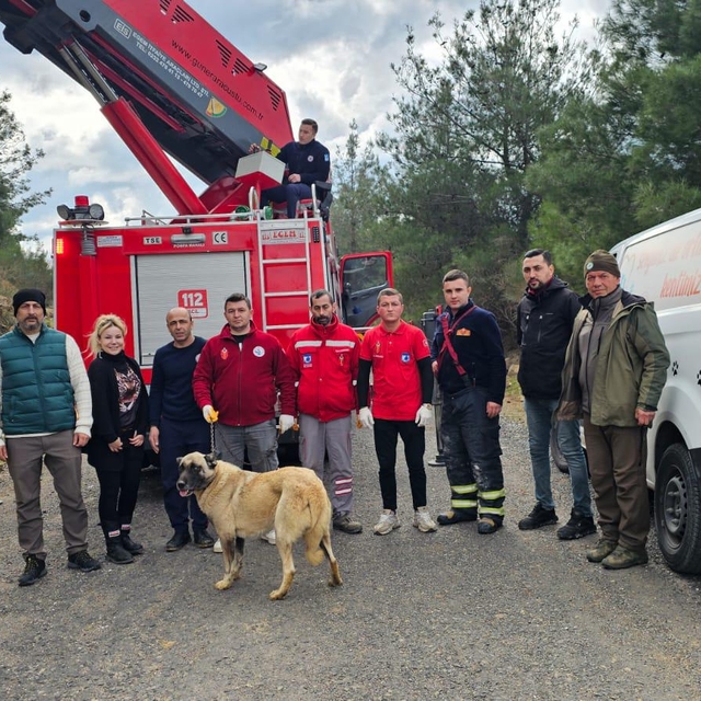 Çanakkale'de dağlık alanda mahsur kalan köpek kurtarıldı