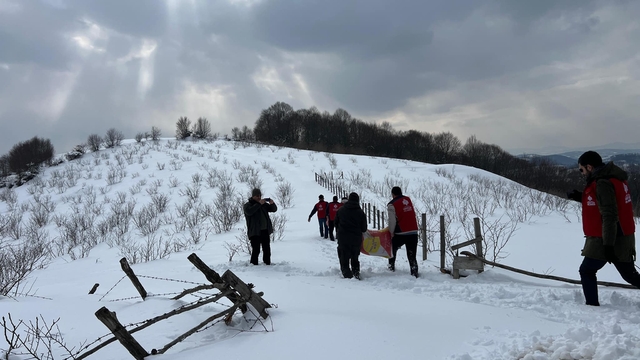 Samsun'da yaban hayatı için doğaya yem bırakıldı