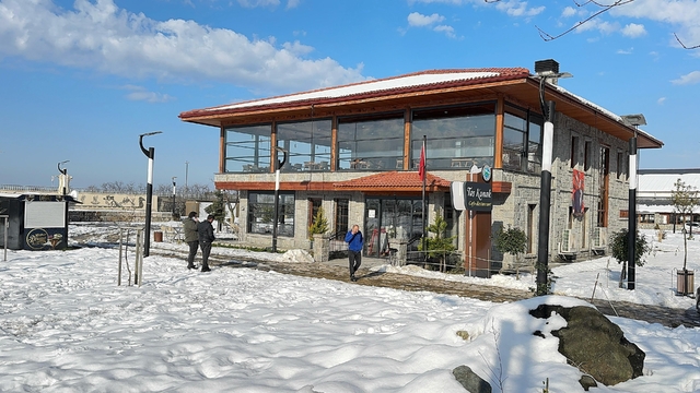 Galeri