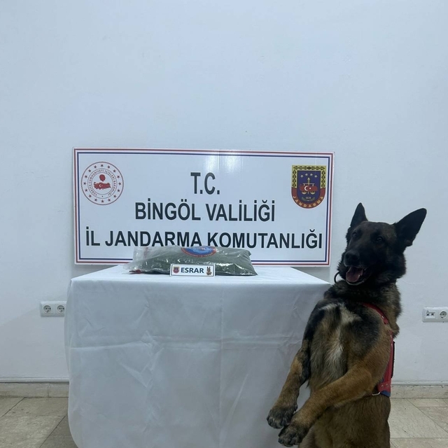 Bingöl'de haklarında arama kaydı bulunan 8 şüpheli yakalandı