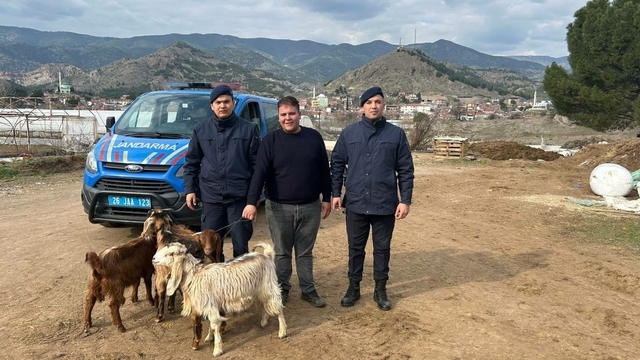 Eskişehir'de kaybolan 4 küçükbaş hayvan, dron yardımıyla bulundu
